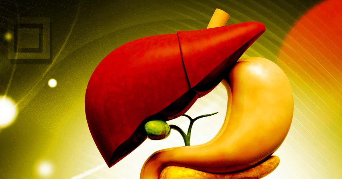 What Is A Liver Gallbladder Flush How Can It Help You?