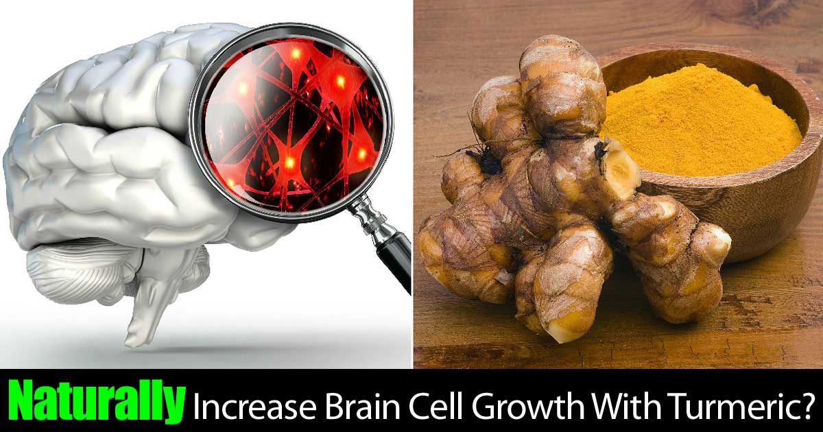 Naturally Increase Brain Cell Growth With Turmeric?